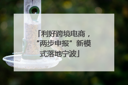 利好跨境电商，“两步申报”新模式落地宁波